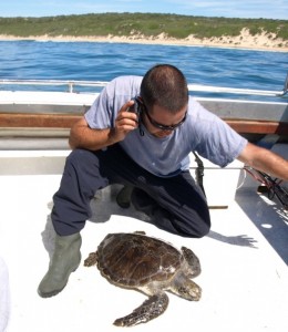 Enrico calls in help for an injured sea turtle.