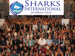 Sharks International- Durban 2-6 June 2014