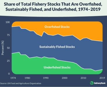 The Risks of Overfishing