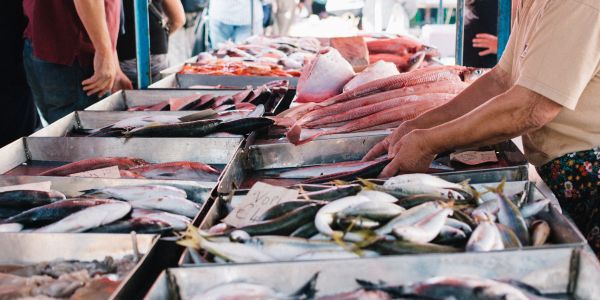 What is Sustainable Seafood