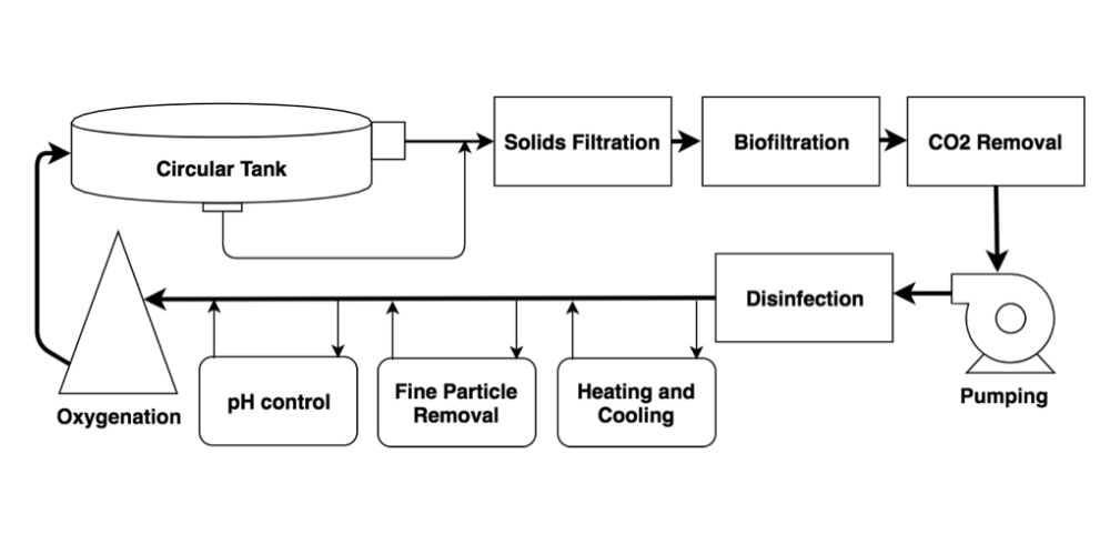 Recirculating aquaculture systems (RAS)