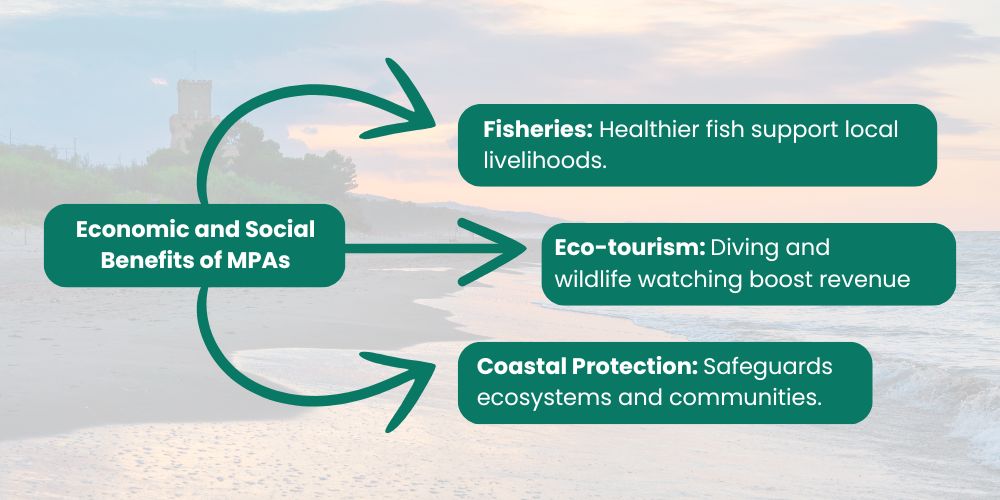 Economic and Social Benefits of MPA