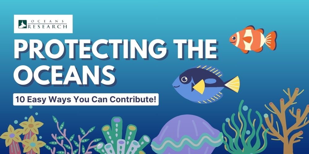 Protecting the Oceans: 10 Easy Ways You Can Contribute