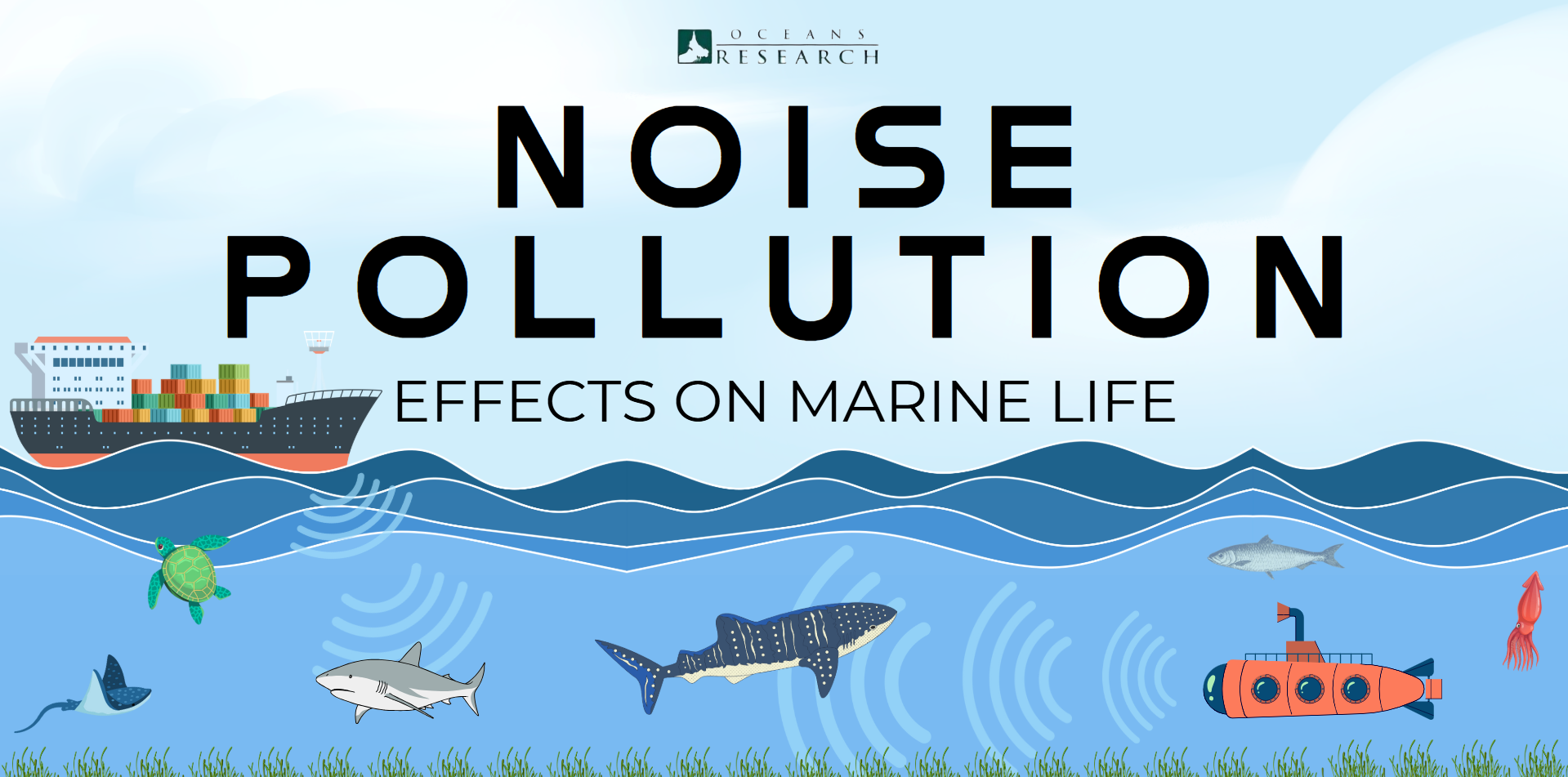 The Silent Killer: How Noise Pollution Is Affecting Marine Animals